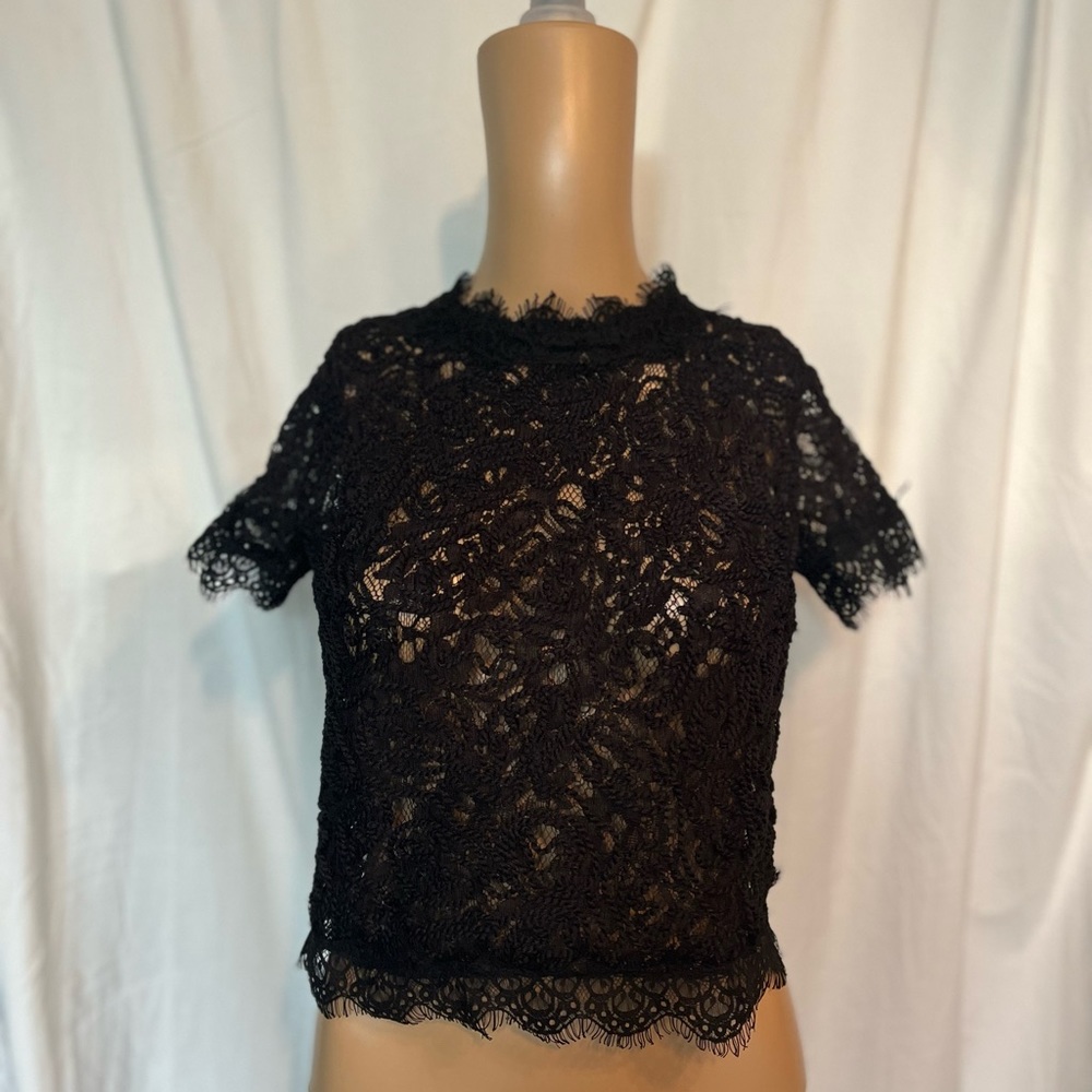 Zara Lace Zip Back Crop Top sheer Small